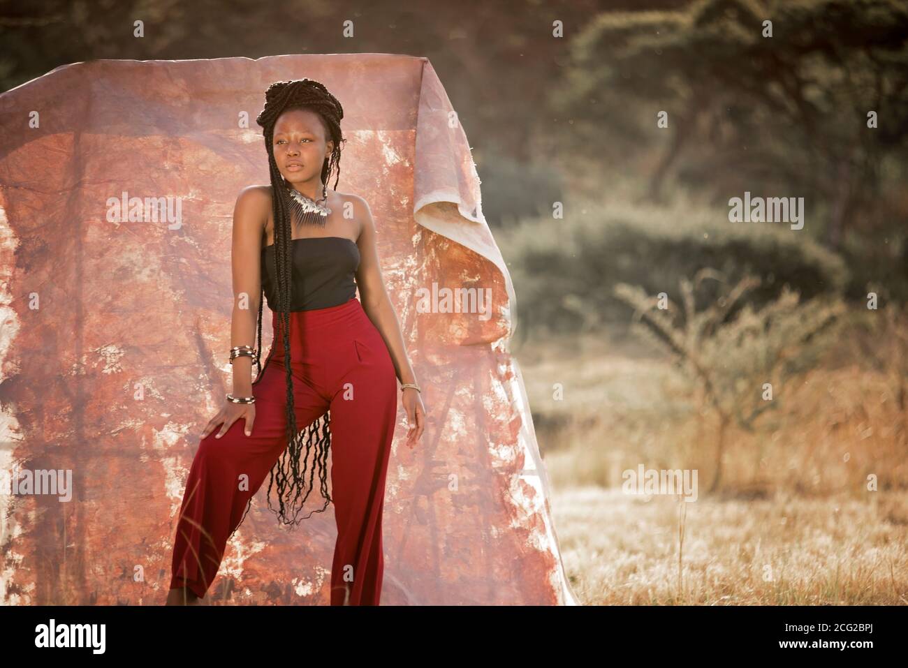 modèle réussi de femme noire en safari africain avec des bijoux africains Banque D'Images