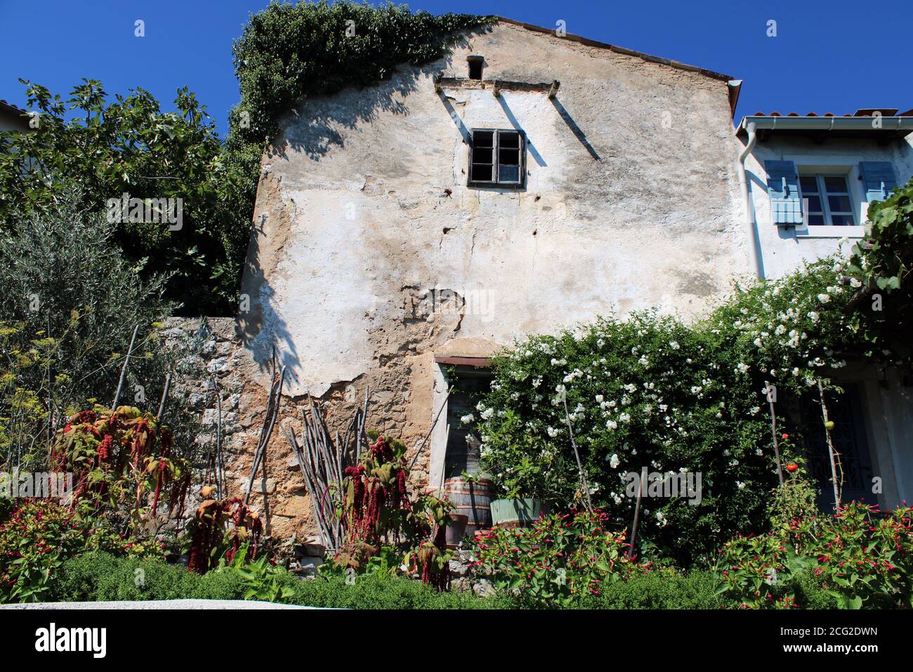 Moscenice à la fin de l'été, vues, côte Adriatique, Croatie Banque D'Images Moscenice à la fin de l'été, vues, côte Adriatique, Croatie Banque D'Images