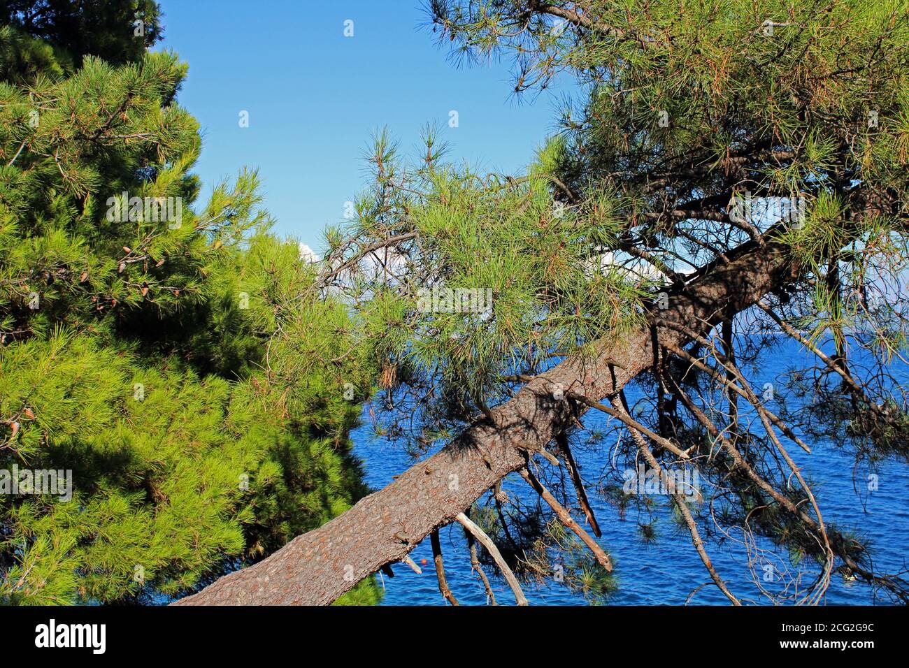 Moscenicka Draga à la fin de l'été, vues, côte Adriatique, Croatie Banque D'Images Moscenicka Draga à la fin de l'été, vues, côte Adriatique, Croatie Banque D'Images