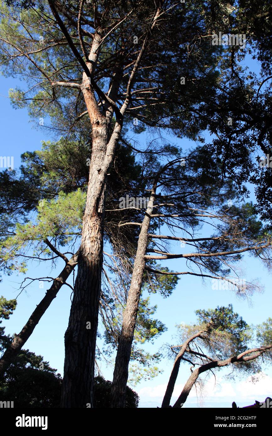Moscenicka Draga à la fin de l'été, vues, côte Adriatique, Croatie Banque D'Images Moscenicka Draga à la fin de l'été, vues, côte Adriatique, Croatie Banque D'Images