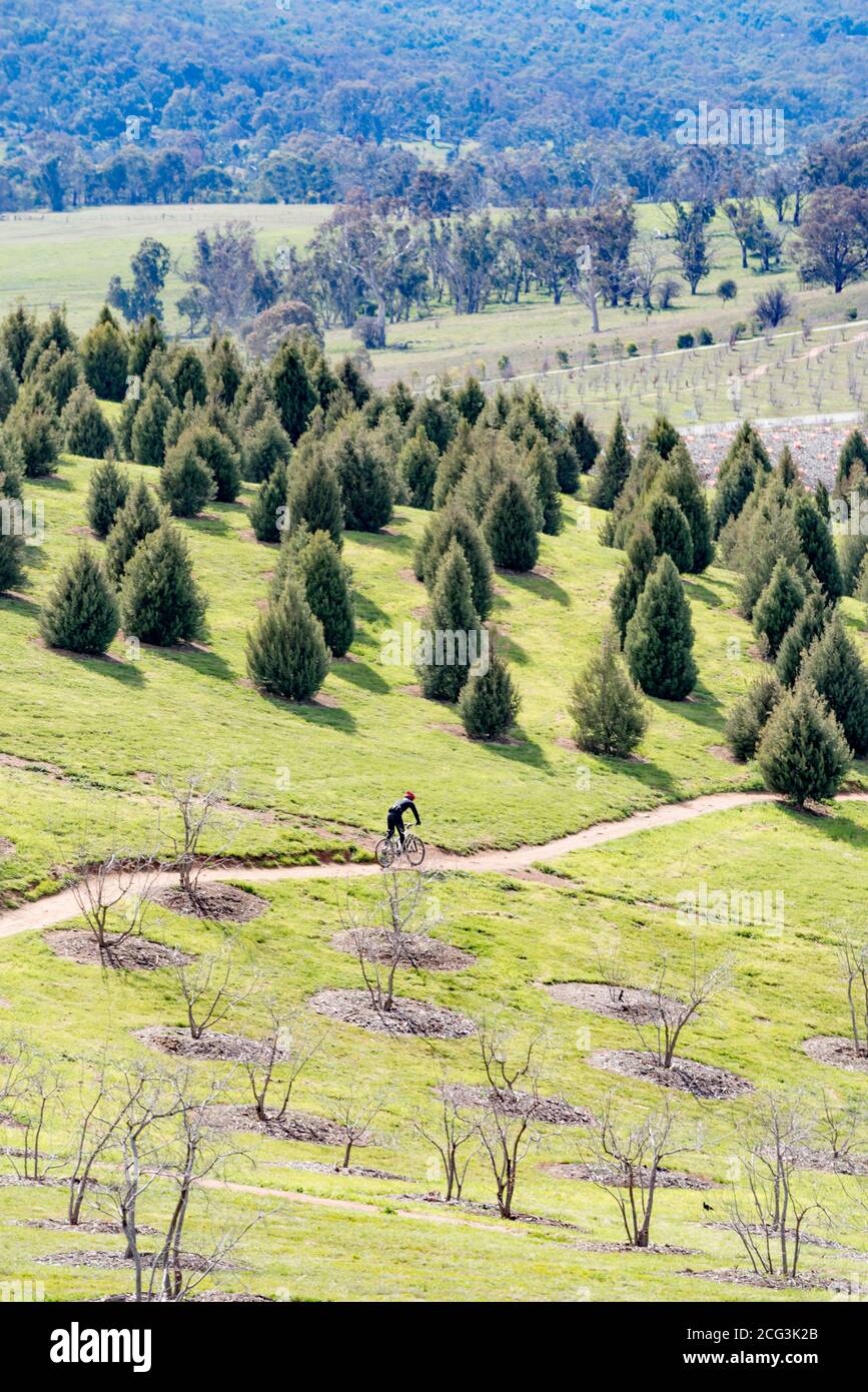 Un vélo tout-terrain passe sur l'un des nombreux sentiers qui traversent l'arboretum national de Canberra, territoire de la capitale australienne, Australie Banque D'Images