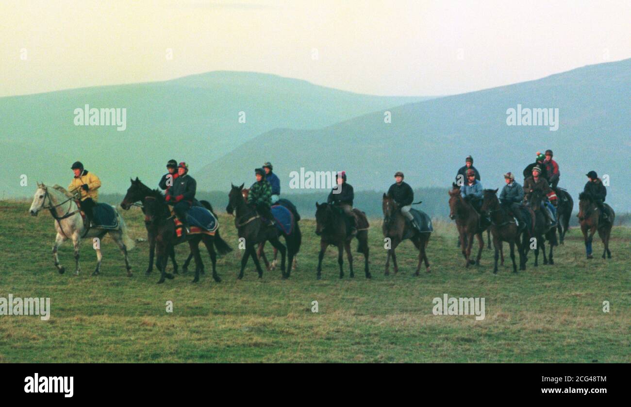 À la tête de la chaîne, l'entraîneur Gordon Richards et le gris One Man sur ses galops à Greystoke en Cumbria alors qu'il se prépare à aller pour une troisième victoire dans le King George V1 Chase à Kempton le lendemain de Noël. Banque D'Images