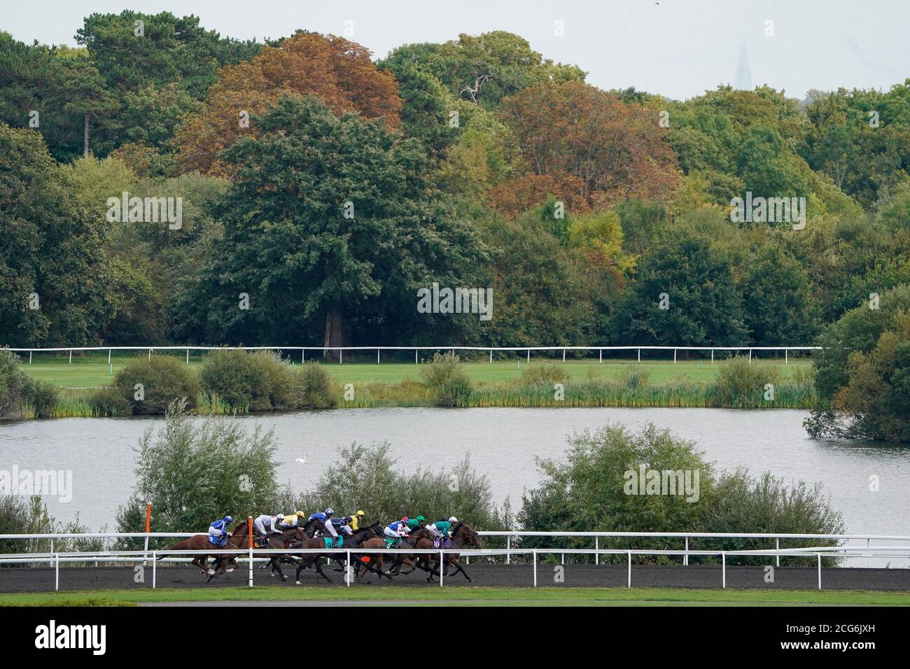 Les coureurs descendent le long du dos tout droit dans le Uniboosts UNIBET 3 A Day handicap à l'hippodrome de Kempton Park. Banque D'Images