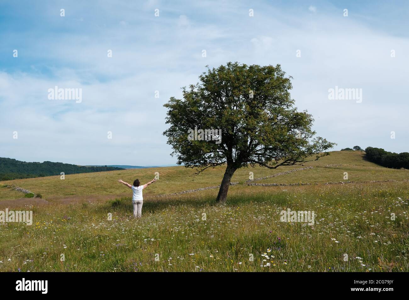 Femme debout dans un pré avec ses bras étirés, Aubrac, Auvergne, France Banque D'Images