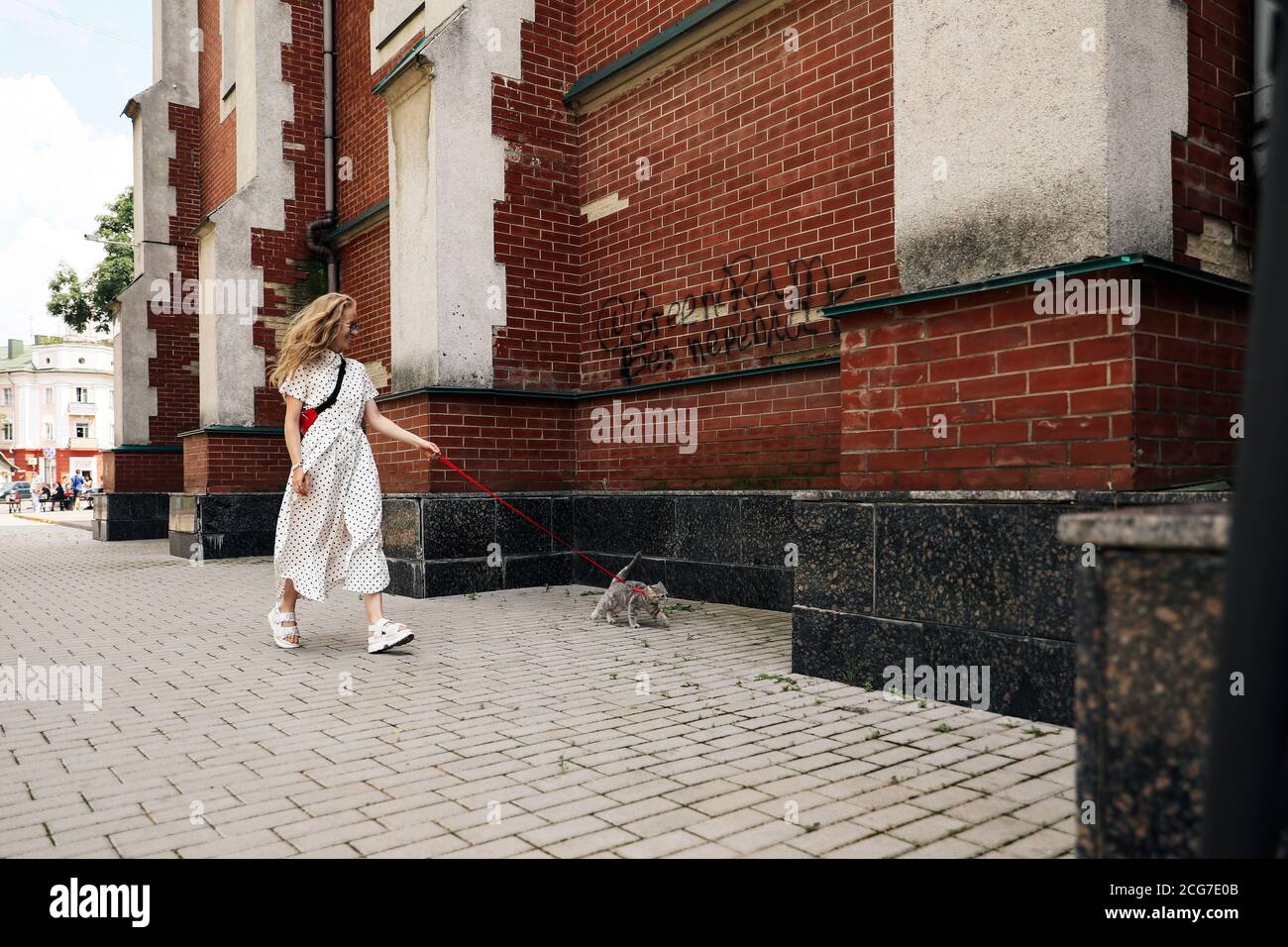 Une jeune femme marche avec un chat écossais droit dans la rue sur une laisse dans la ville. Fille blonde vêtue d'une longue robe blanche Banque D'Images