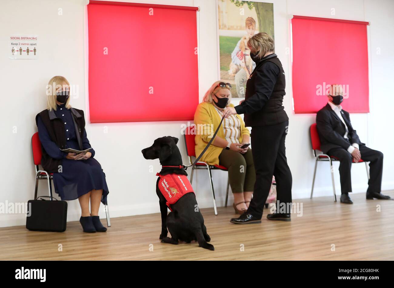 L'équipe du centre de formation de l'association Medical Detection Dogs à Milton Keynes, réalise une démonstration pour la duchesse de Cornwall. Des essais sont actuellement en cours au centre pour déterminer si les chiens peuvent agir comme outil de diagnostic de la COVID-19. Banque D'Images