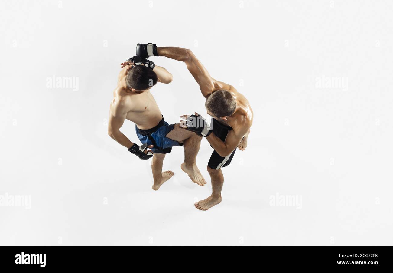 Deux boxeurs professionnels MMA Fighters isolés sur fond blanc de studio. Vue de dessus de deux athlètes musclés. Sport, mode de vie sain, compétition, dynamique et mouvement, concept d'action. CopySpace. Banque D'Images