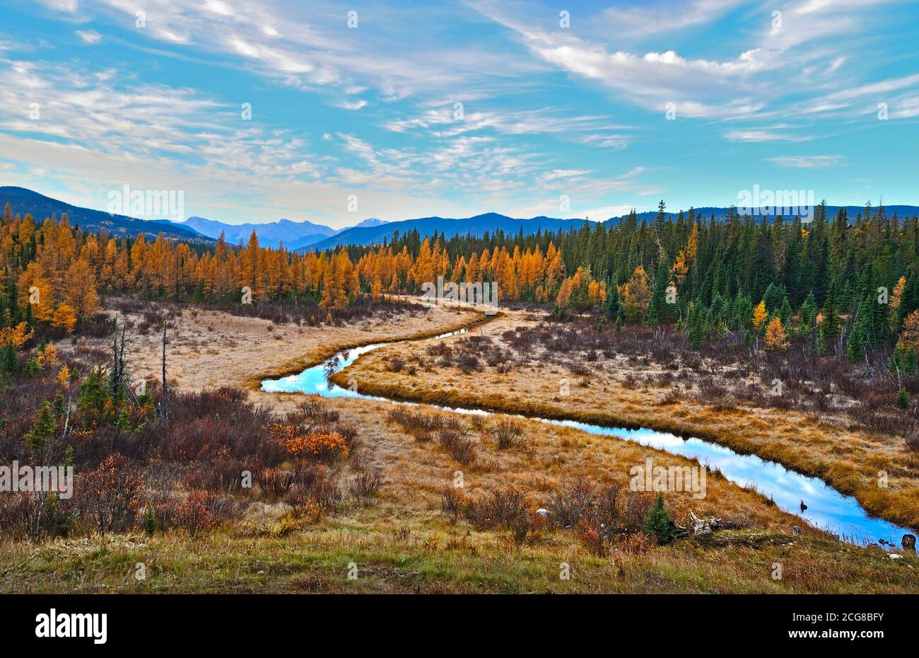 Une image du paysage d'automne du ruisseau Jarvis dans le parc Switzer près de Hinton Alberta Canada. Banque D'Images