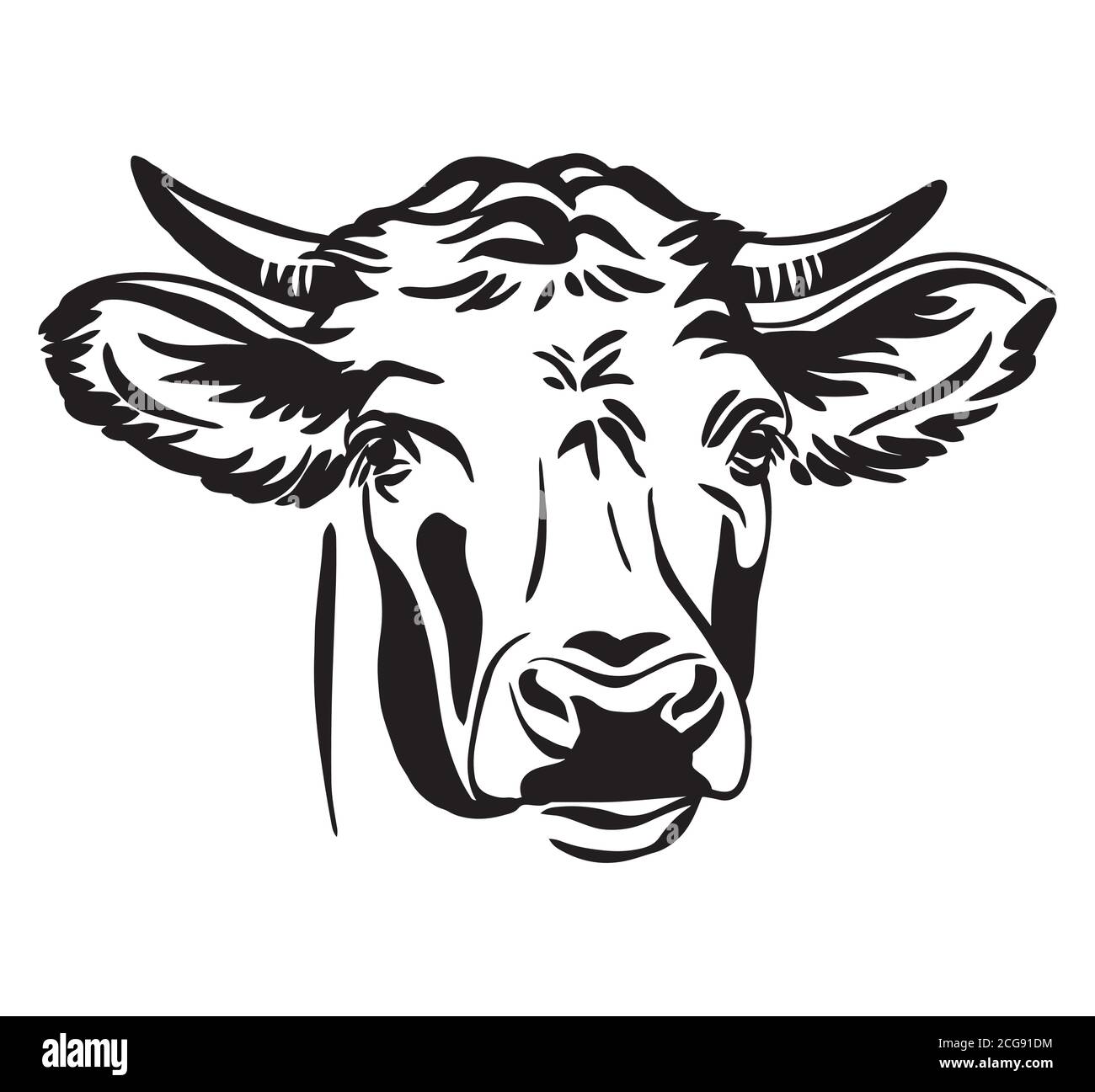 Portrait décoratif de l'illustration du vecteur taureau en noir isolé sur fond blanc. Image de modèle de gravure pour la conception, l'impression et le tatouage. Illustration de Vecteur