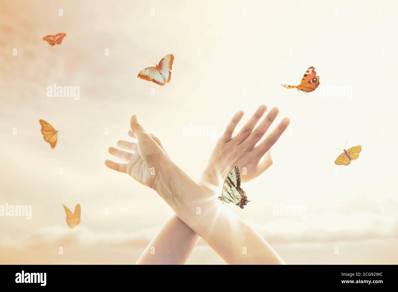 les mains de la femme dansent en harmonie avec quelques papillons dans le milieu de la nature Banque D'Images
