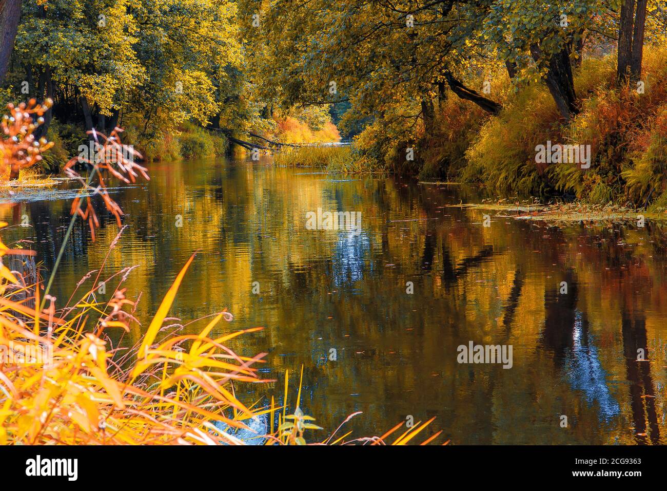 magnifique paysage d'automne magnifiques arbres avec feuilles de couleur sur la rivière, baignant de lumière du soleil. magnifique paysage pittoresque. couleur dans la nature. gorg Banque D'Images