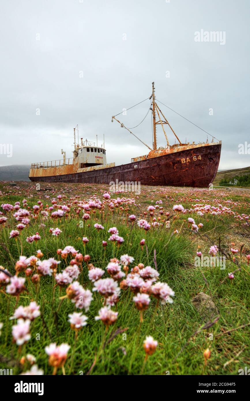 Ancien épave de navire en ruines garée sur la plage, nord de l'Islande. Banque D'Images