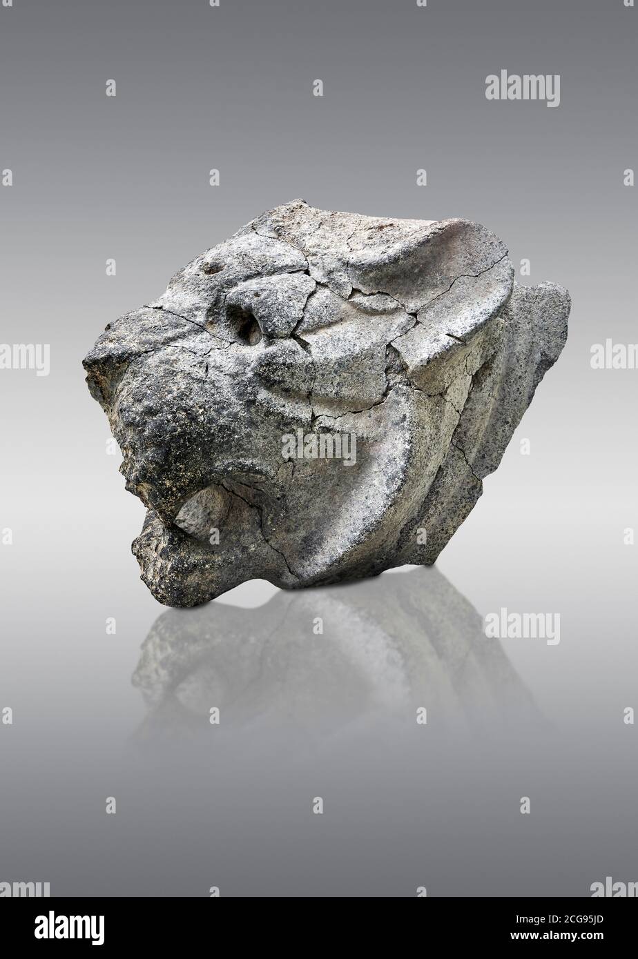 Statue de Hittite tête d'un lion, capitale de Hittite Hattusa, Royaume du milieu de Hittite 1650-1450 av. J.-C., Musée archéologique de Bogazkale, Turquie. Arrière-plan gris Banque D'Images