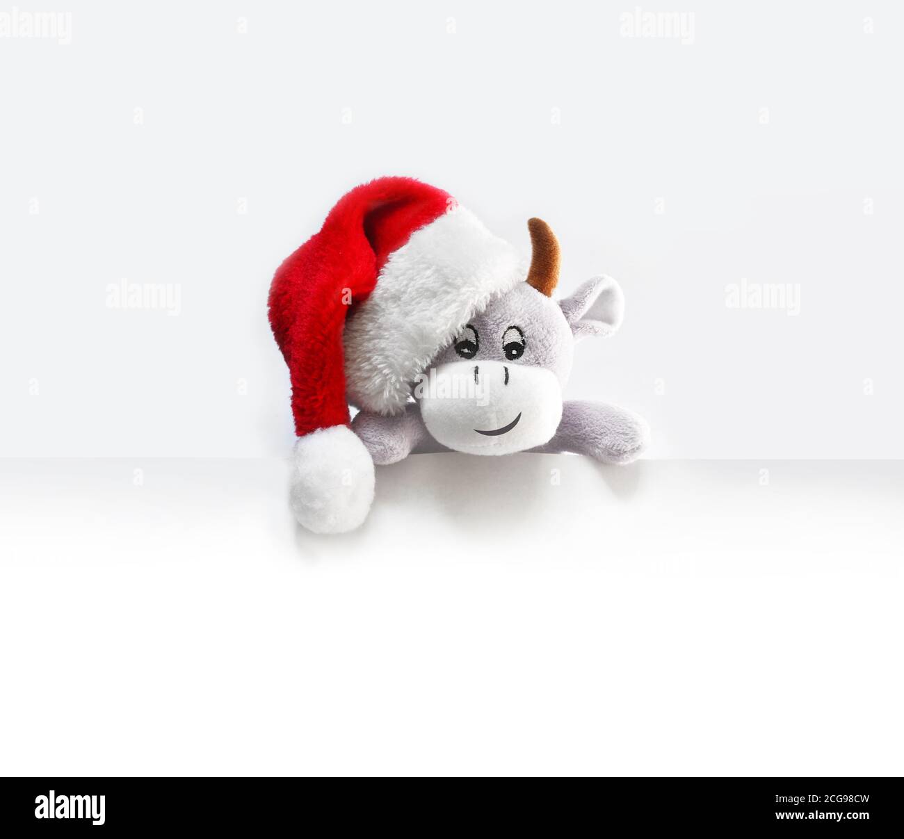 Année de l'Ox. Arrière-plan avec un drôle de boeuf blanc dans le chapeau de santa. Carte de Noël, photocopiage Banque D'Images
