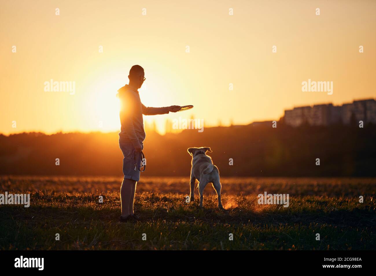 Homme lançant un disque volant pour son chien. Propriétaire d'animaux avec labrador Retriver sur le terrain au beau coucher du soleil. Banque D'Images