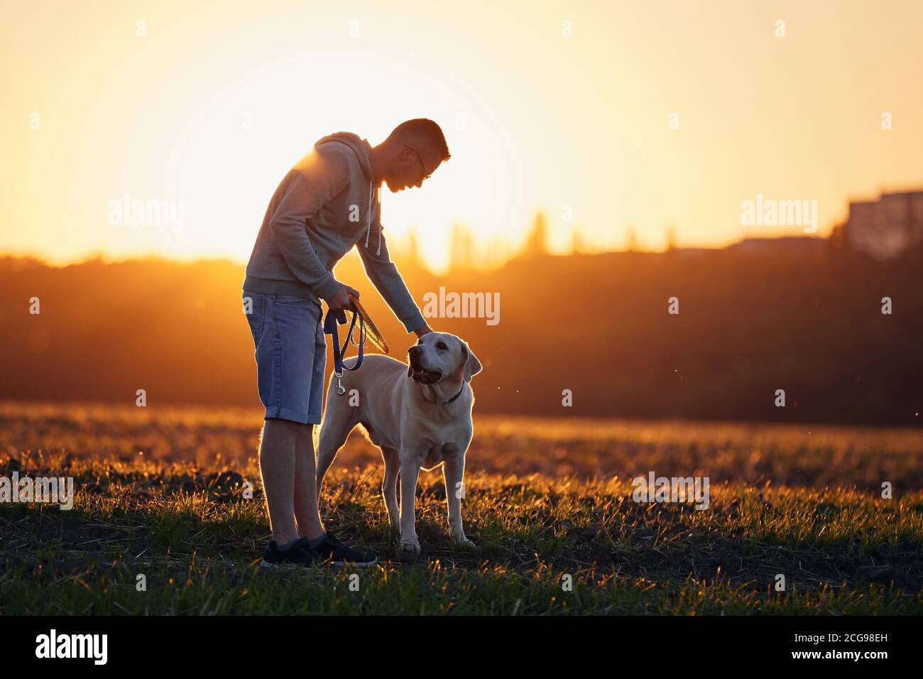 Homme avec chien au beau coucher du soleil. Le propriétaire d'un animal de compagnie a fait le plein de sa jolie Labrador Retriever sur une piste de marche contre le terrain. Banque D'Images