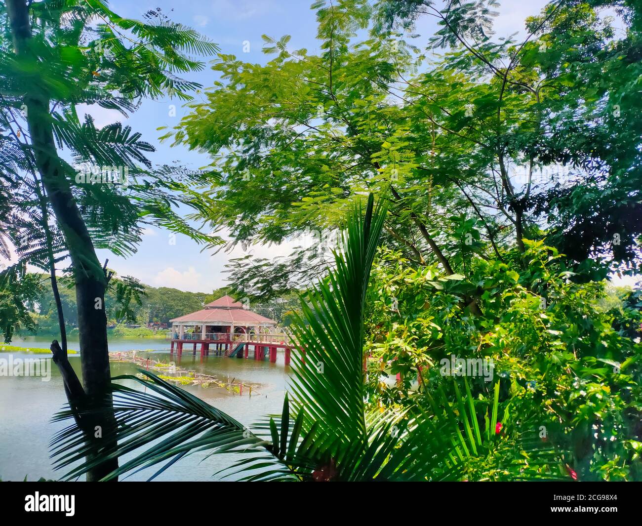 L'eau verte de l'étang avec la petite hutte/ tukul au milieu entouré d'arbres et de buissons dans le magnifique parc du bangladesh à Tangail, Bangladesh. Banque D'Images