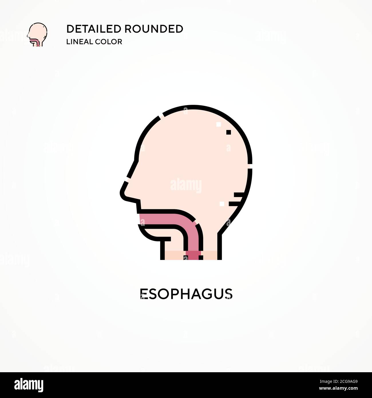 Icône de vecteur œsophagien. Concepts modernes d'illustration vectorielle. Facile à modifier et à personnaliser. Illustration de Vecteur