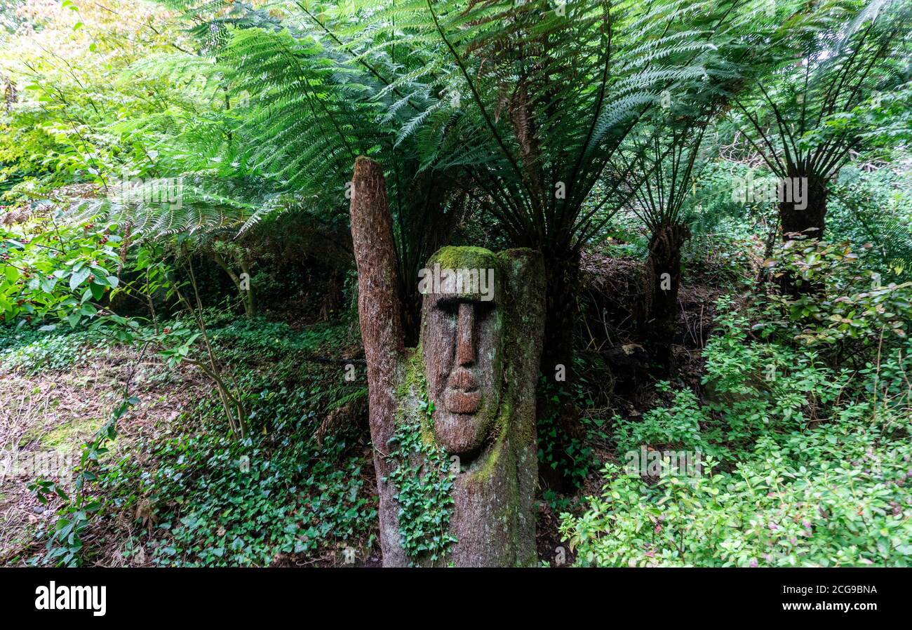 Une des nombreuses sculptures en bois, de Pieter Kronig, parmi la collection de plantes subtropicales dans les jardins de Kells Bay à Kells, comté de Kerry, Irlande. Banque D'Images