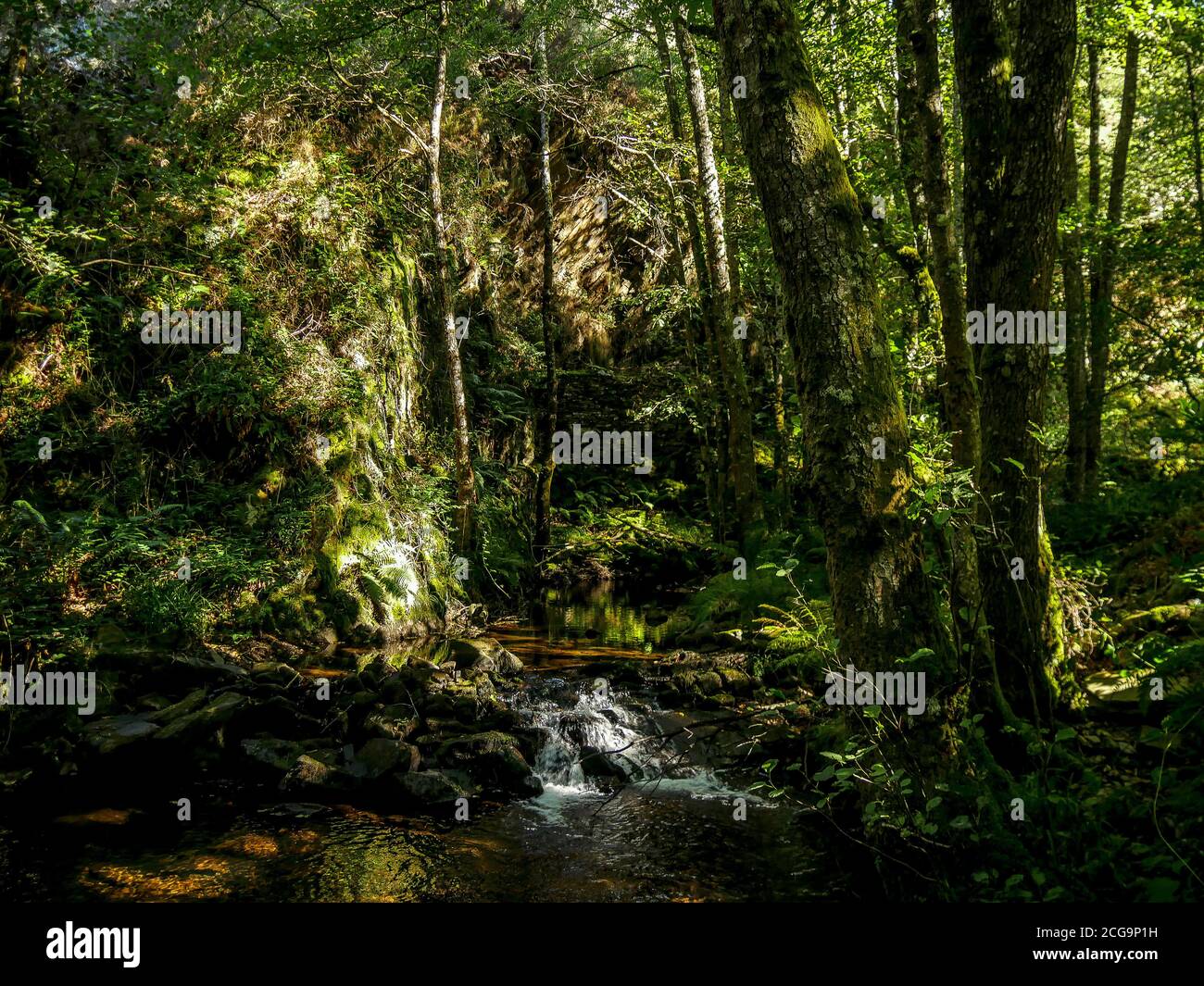 Rivière Agüeria (Santa Eulalia de Oscos) Asturies/ Espagne) Banque D'Images
