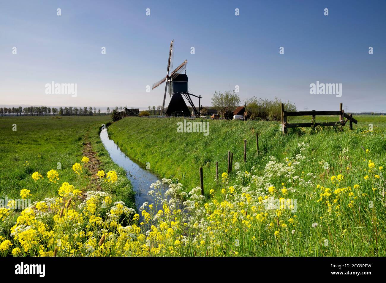 Le moulin à vent de Wingerdse près du village hollandais de Bleskensgraaf au printemps Banque D'Images