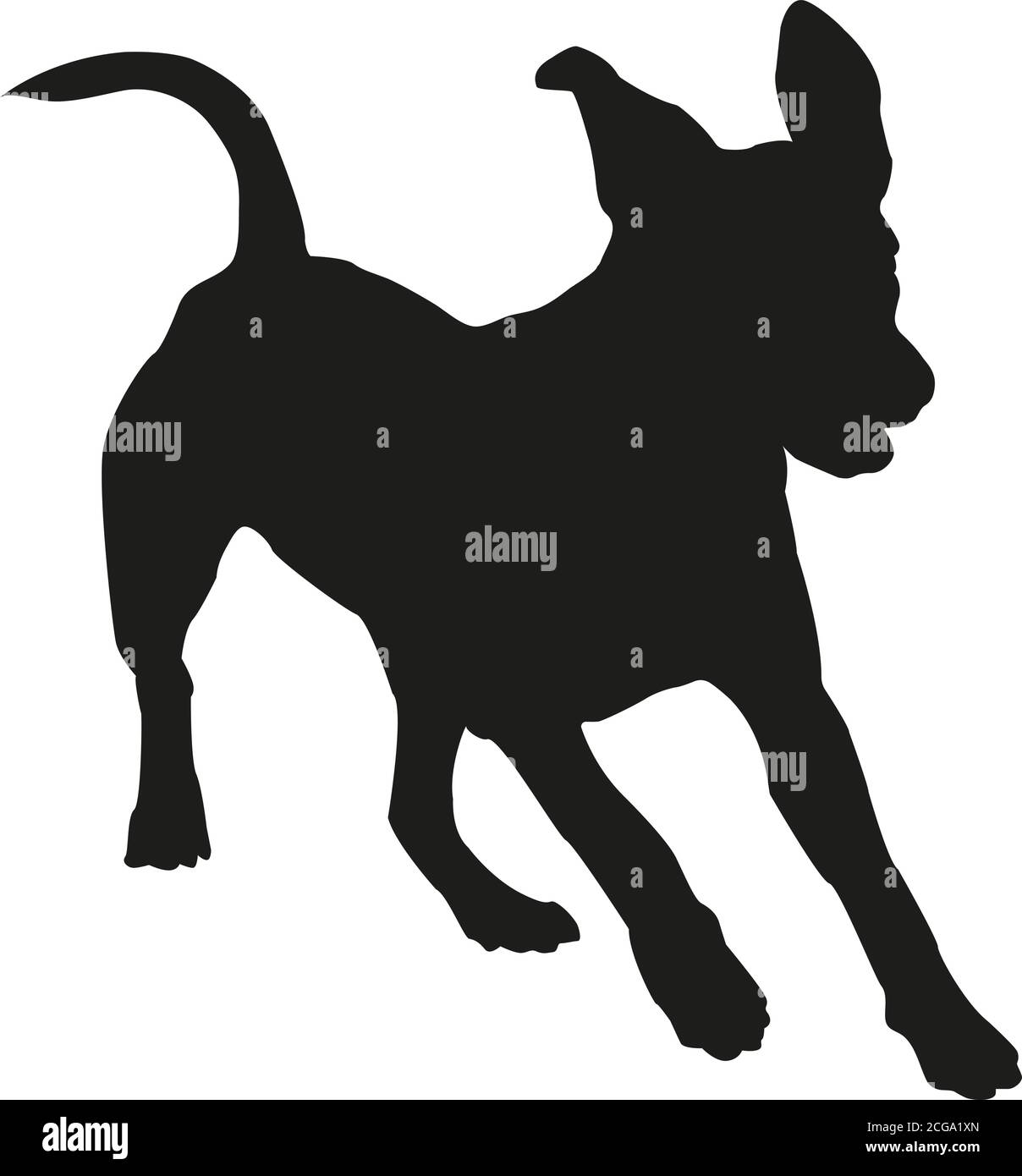 Silhouette noire du chiot terrier américain de course à pied staffordshire. Isolé sur un fond blanc. Illustration vectorielle. Illustration de Vecteur
