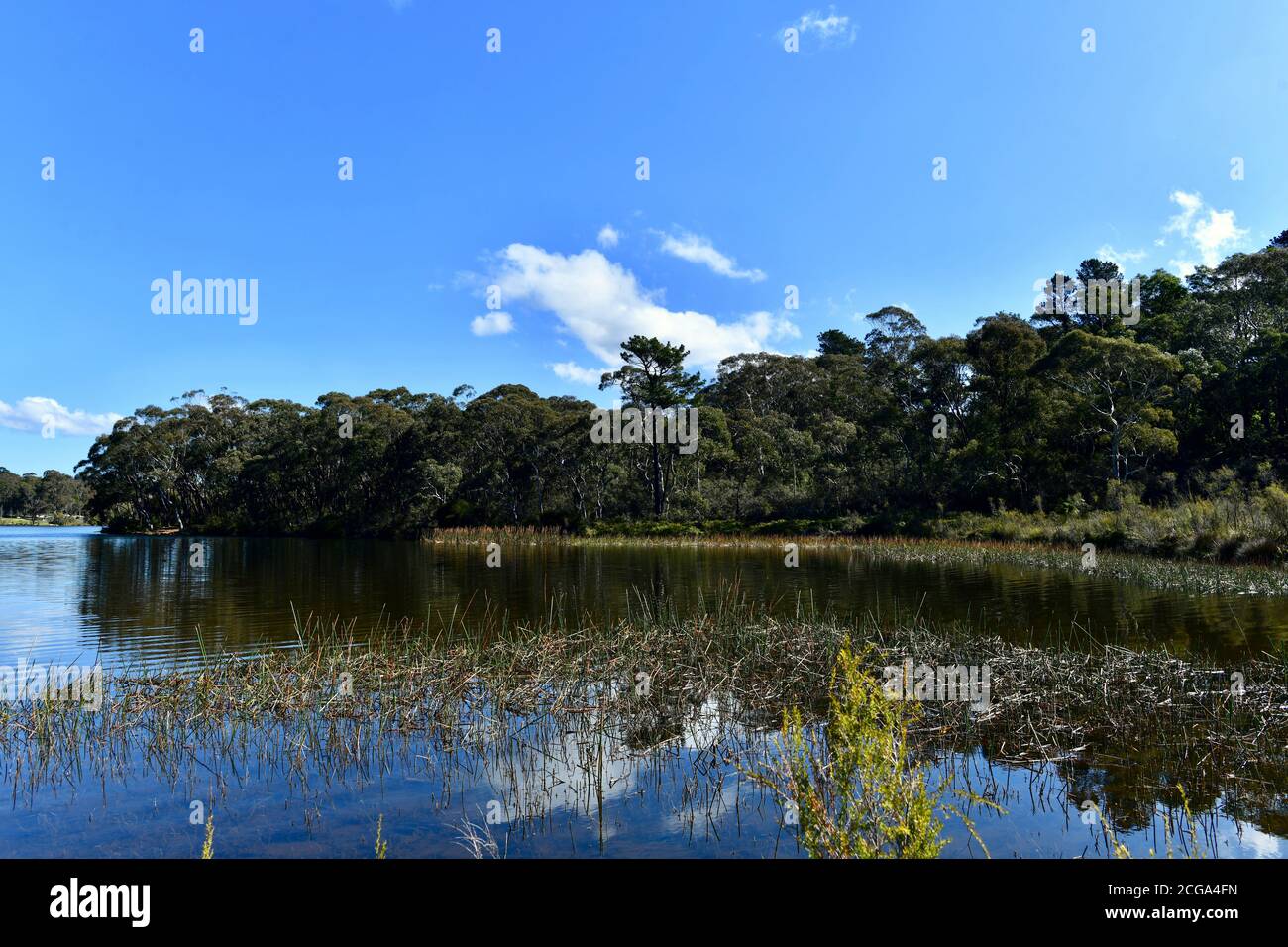 Lac Wentworth Falls dans les Blue Mountains à l'ouest de Sydney Banque D'Images