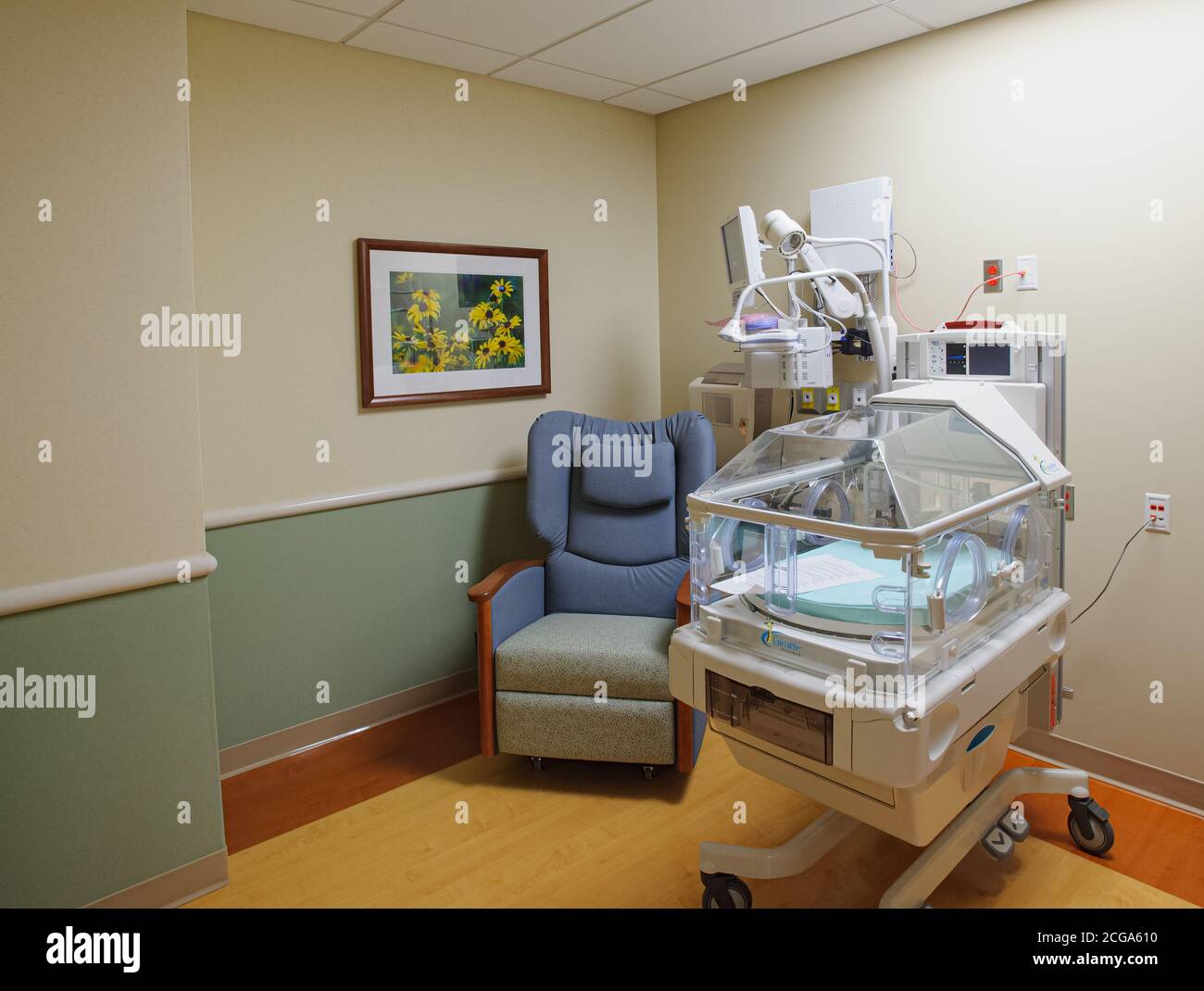Salle de soins intensifs néonataux dans le cadre de l'aile de maternité de conception moderne de l'hôpital Henry Ford West Bloomfield avec art mural nature, Michigan, États-Unis Banque D'Images