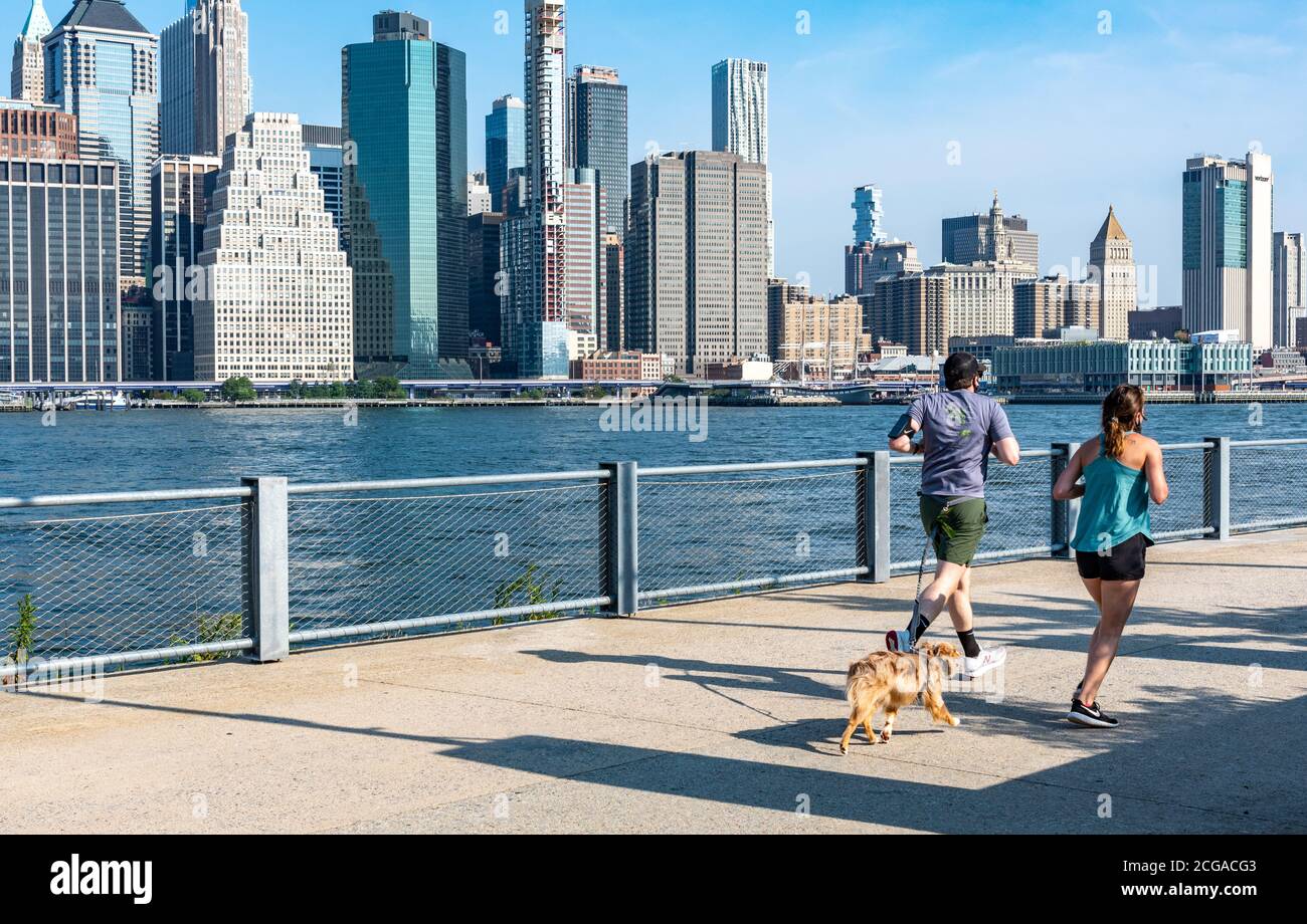 BROOKLYN, NY - 27 2020 AOÛT : un couple et leur chien courent sur le Pier 3 dans le Brooklyn Bridge Park avec l'horizon de Lower Manhattan en arrière-plan Banque D'Images