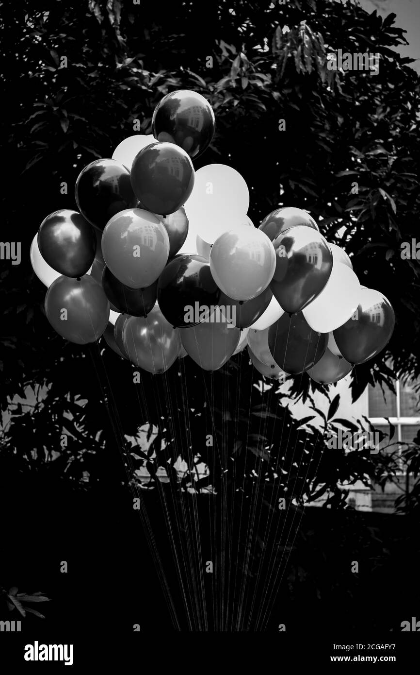 Un tas de ballons colorés remplis de gaz sur fond sombre. Image en noir et blanc. Banque D'Images