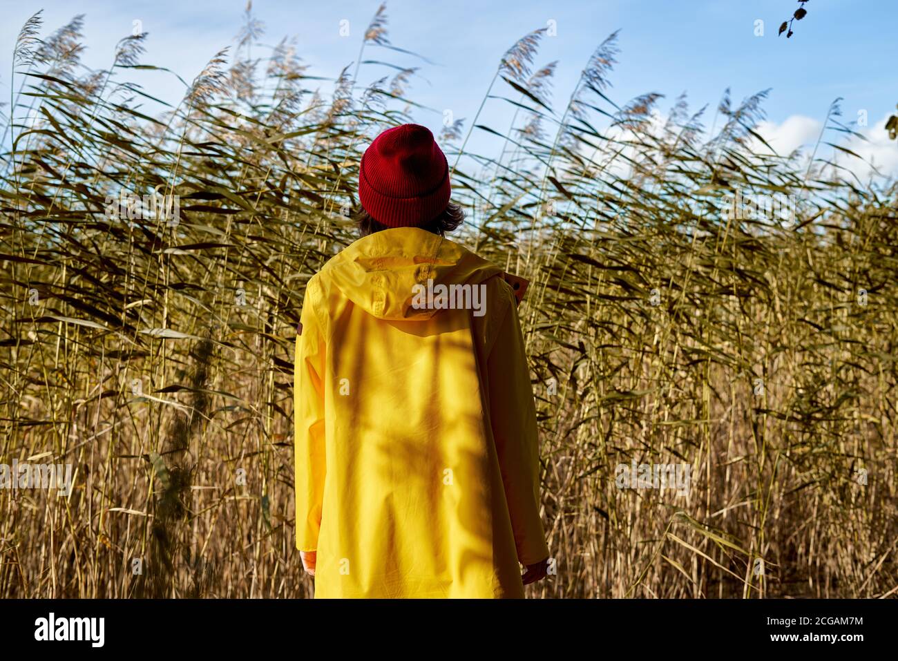 Vue arrière de la femme en imperméable jaune vif et chapeau rouge regarde les roseaux, l'unité avec la nature. Froid jour d'automne, soleil sur la baie, un avec la nature Banque D'Images