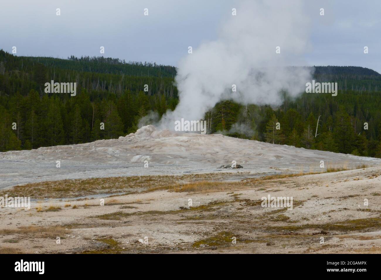Old Faithful Geyser, le Parc National de Yellowstone, Wyoming Banque D'Images