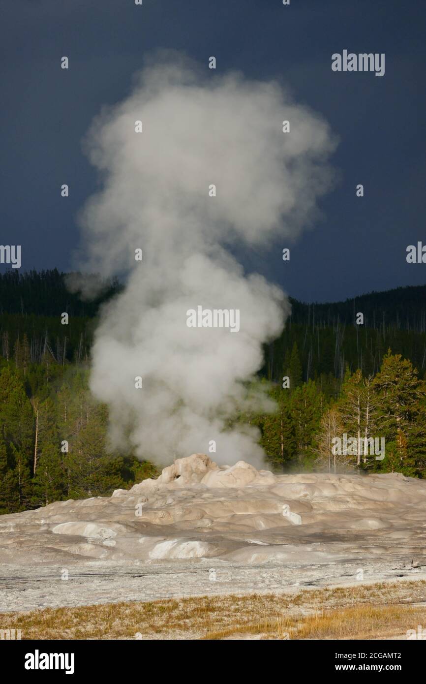 Old Faithful Geyser, le Parc National de Yellowstone, Wyoming Banque D'Images