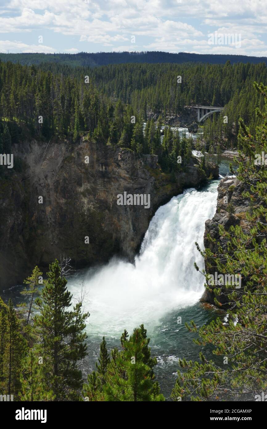 Yellowstone Canyon Upper Falls, parc national de Yellowstone, Wyoming Banque D'Images