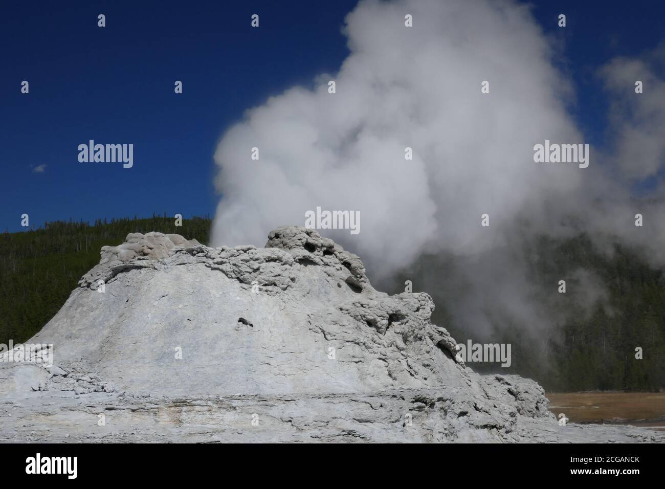 Éruption du geyser du lion, bassin supérieur du geyser, parc national de Yellowstone, Wyoming Banque D'Images