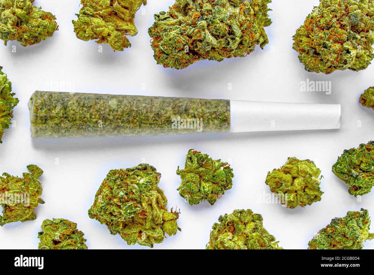 Un pré-rouleau de cannabis joint sur une surface blanche avec plusieurs fleurs de cannabis autour. Banque D'Images
