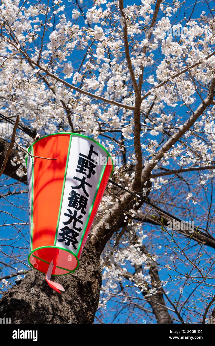 Lanterne en papier au festival des cerisiers en fleurs d'Ueno Banque D'Images