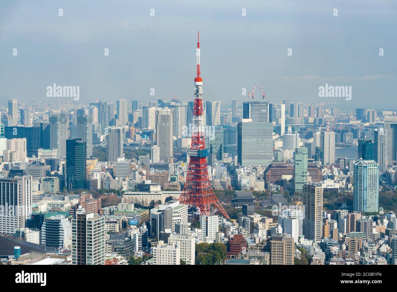 Vue sur la Tour de Tokyo au Japon Banque D'Images