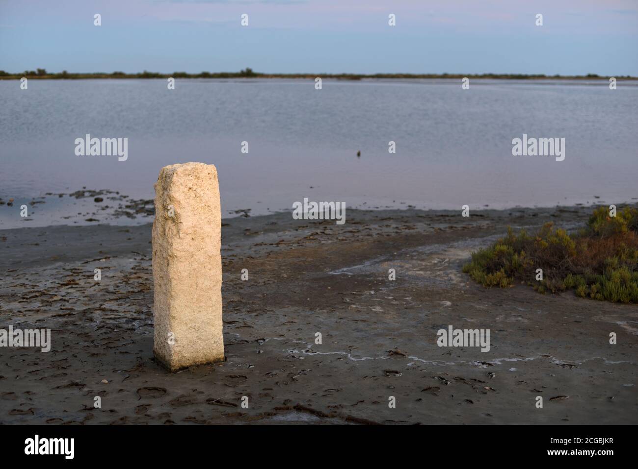 Pierre debout sur le bord de l'eau de l'Etang de la Dame Lac Camargue Parc régional ou Réserve naturelle Provence France Banque D'Images