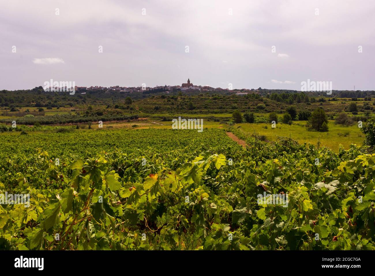 Paysage de la voie d'août comme il passe à travers Castellon, Espagne Banque D'Images