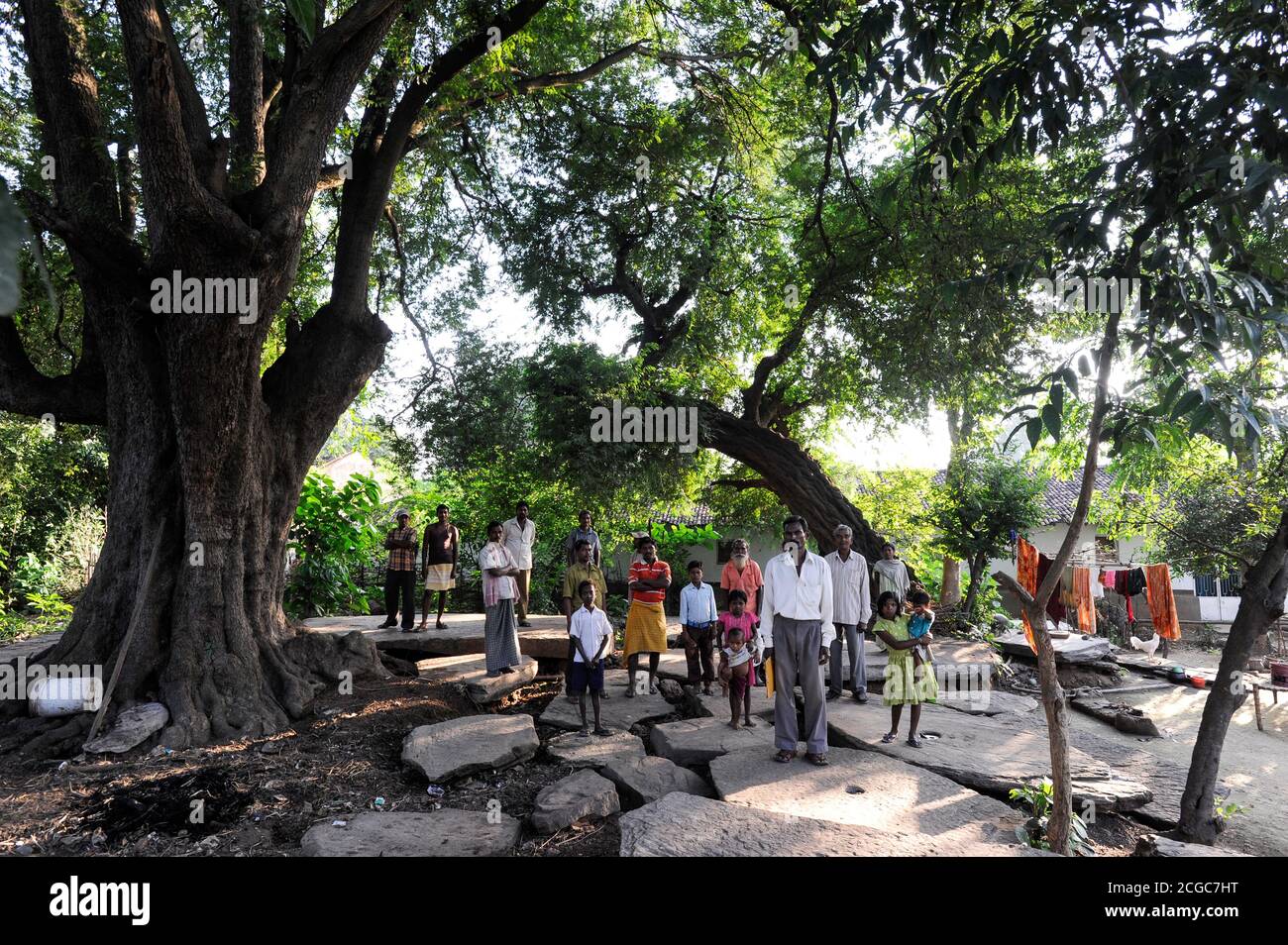 INDE, Jharkand, Chaibasa, tribu Ho, lutte pour les droits fonciers, les villages tribaux et les terres sont menacés par des projets miniers et industriels, l'accaparement illégal des terres, le déplacement et la réinstallation sont menacés, les villageois tribaux sur une dalle grave de leur ancêtre sous grand arbre de taminage, En cas de réinstallation, les liens avec les ancêtres et les terres / INDIEN, Jharkhand , Chaibasa , Dorf Surjabasa , Ho Ureinwohner, Doerfer und Land der indischen Ureinwohner sind durch Bergbau und Industrieprojekte Wcherht und es droht illegale Landnahme, Umbewung und Verbeedlung Banque D'Images