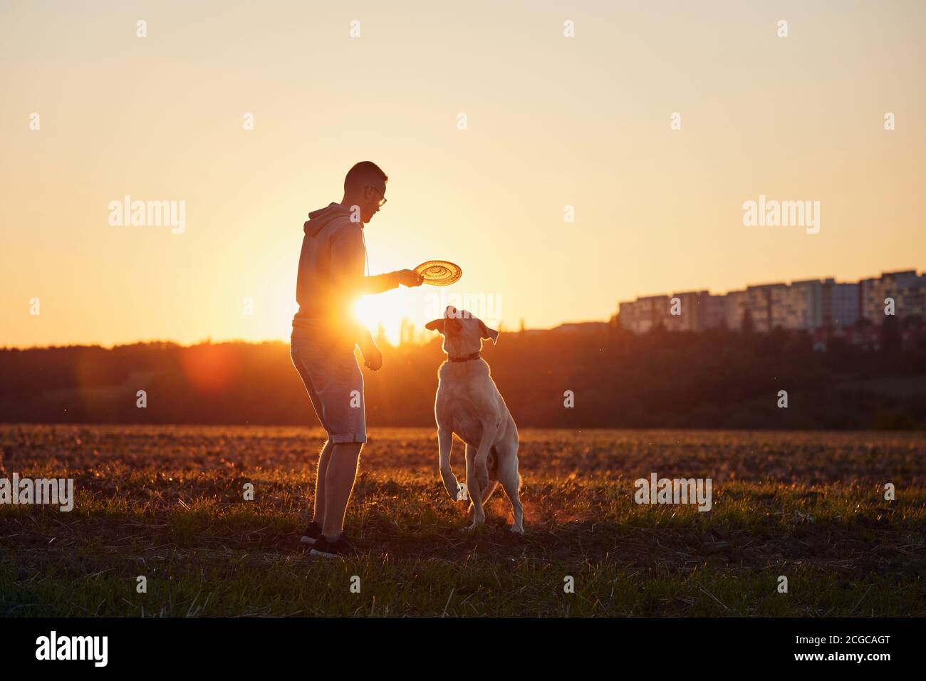 Homme lançant un disque volant pour son chien. Propriétaire d'animaux avec labrador Retriver sur le terrain au beau coucher du soleil. Banque D'Images