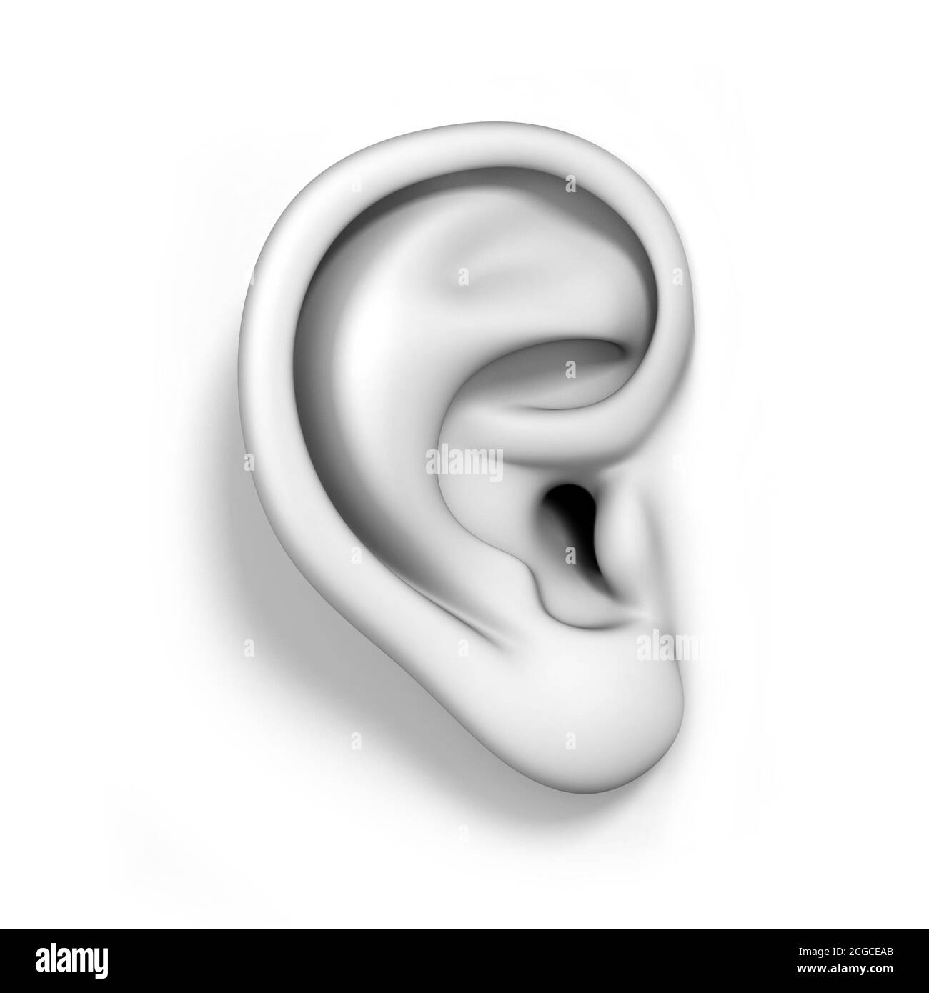 oreille humaine isolée sur fond blanc rendu 3d Banque D'Images