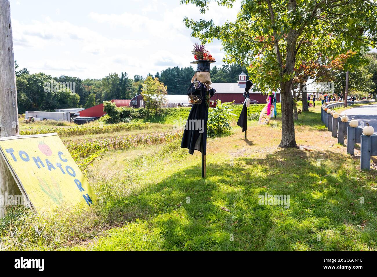 Concours de conception de Scarecrow à la ferme locale pour recueillir des fonds au profit de l'Alliance nationale sur la maladie mentale. Banque D'Images