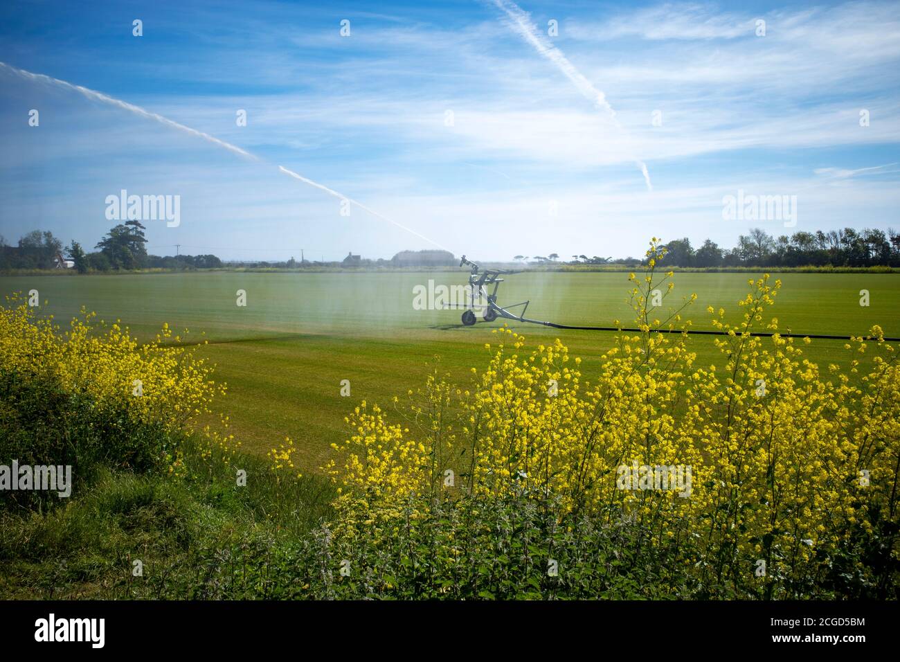 Arrosage du gazon, Bawdsey, Suffolk, Royaume-Uni. Banque D'Images