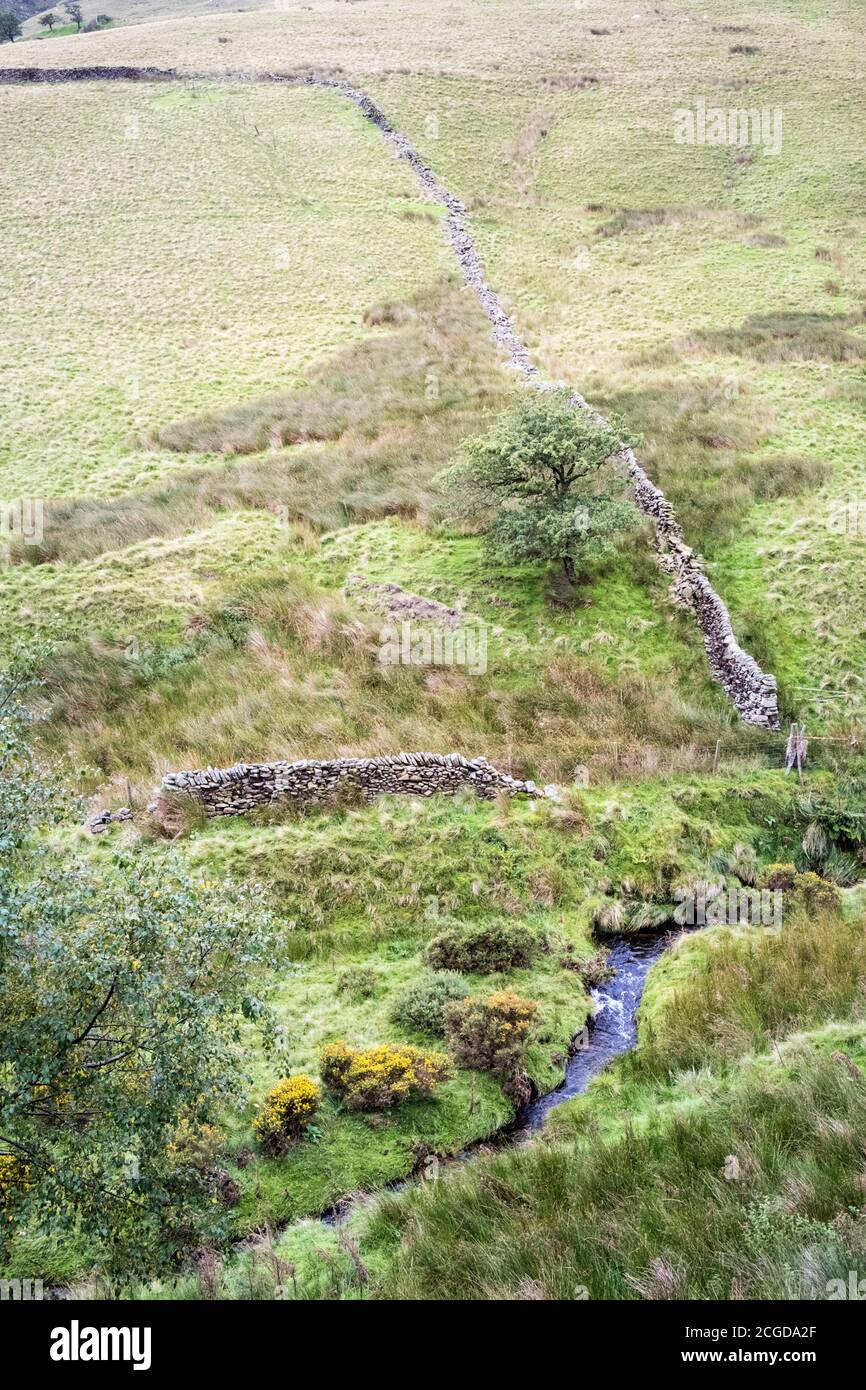 Flanc de colline avec un mur de pierre descendant à la rivière Noe dans la vallée d'Edale, Derbyshire, Peak District National Park, Angleterre, Royaume-Uni Banque D'Images