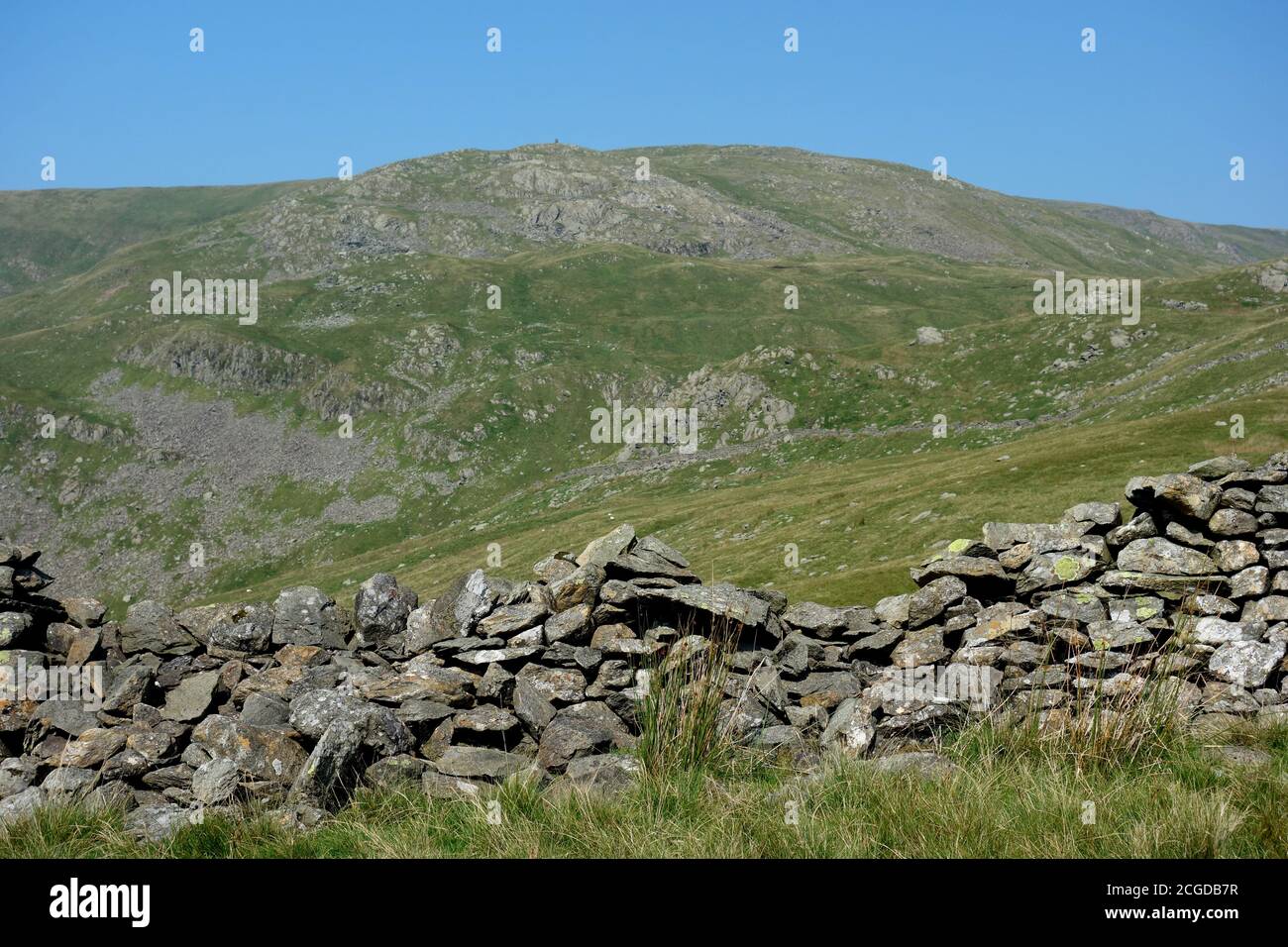 Scandile dirigez-vous sur le Wainwright 'Dove Crag' près d'un mur de pierre près du sommet du col de Scandile, Lake District National Park, Cumbria, Angleterre, Royaume-Uni. Banque D'Images