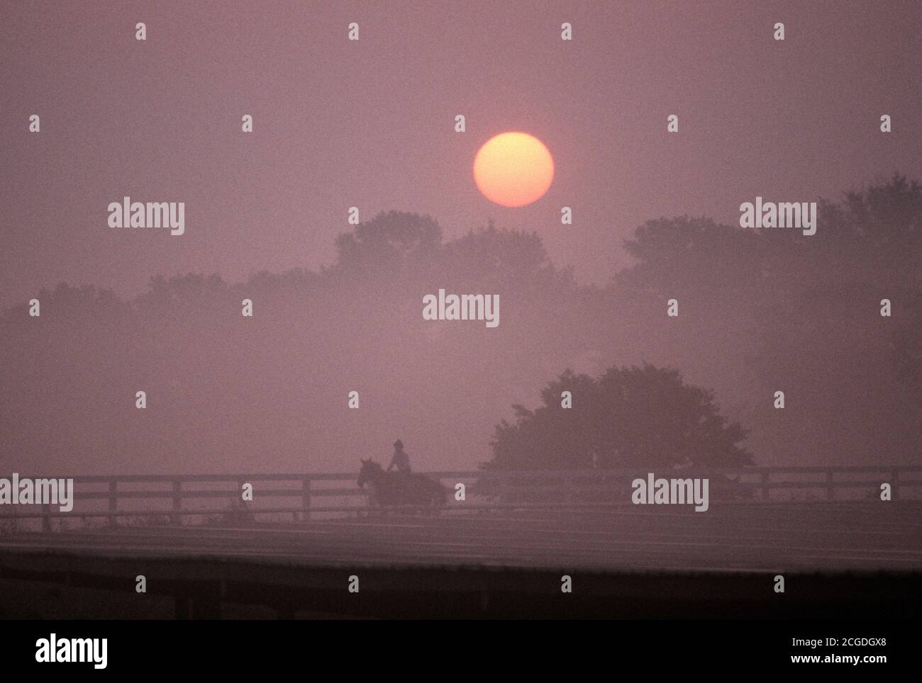 COURSES DE CHEVAUX EN DÉBUT DE MATINÉE, CHURCHILL DOWNS, LOUISVILLE, KENTUCKY, ÉTATS-UNIS, ANNÉES 1980 Banque D'Images