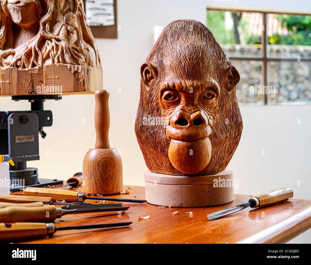 Orangutan Head Sculpture en bois sculptée à la main Banque D'Images