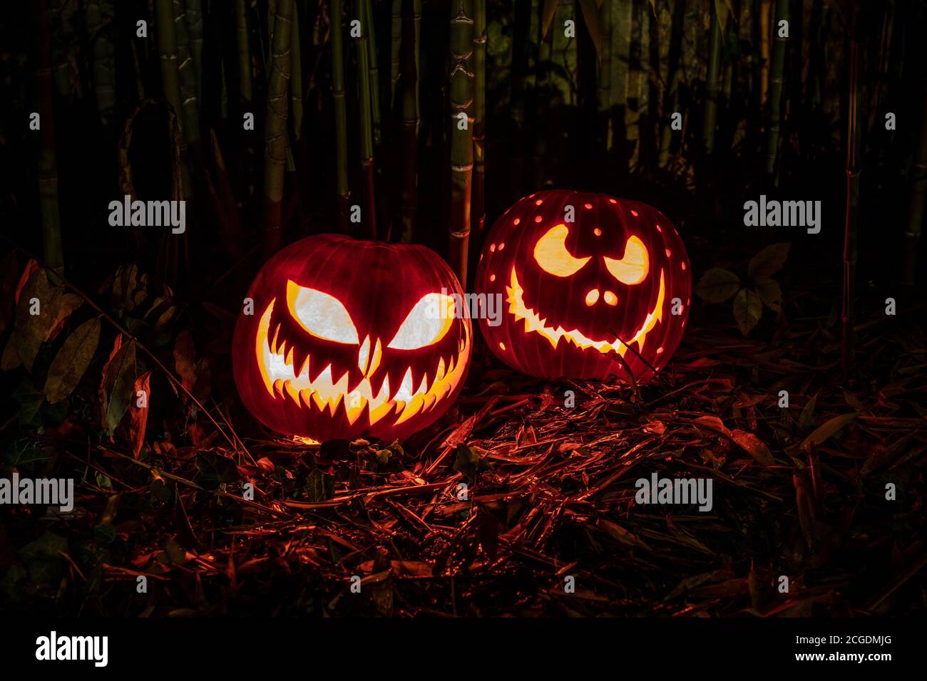 lanternes de citrouilles d'halloween avec expression effrayante dans la nuit. Banque D'Images